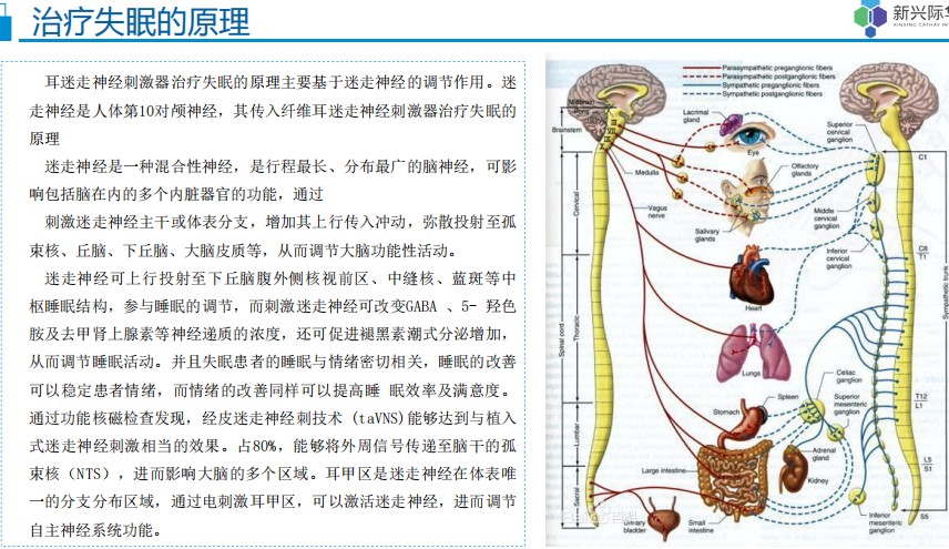 可治失眠耳鸣抑郁等病，LNS-0121耳